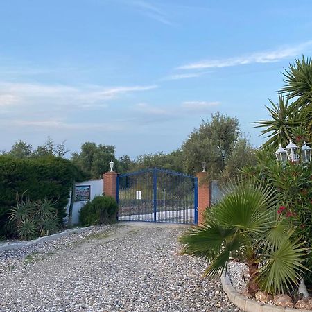 Finca Casa Mici Alhaurin el Grande Ngoại thất bức ảnh