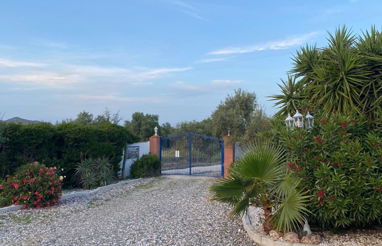 Finca Casa Mici Alhaurin el Grande Ngoại thất bức ảnh