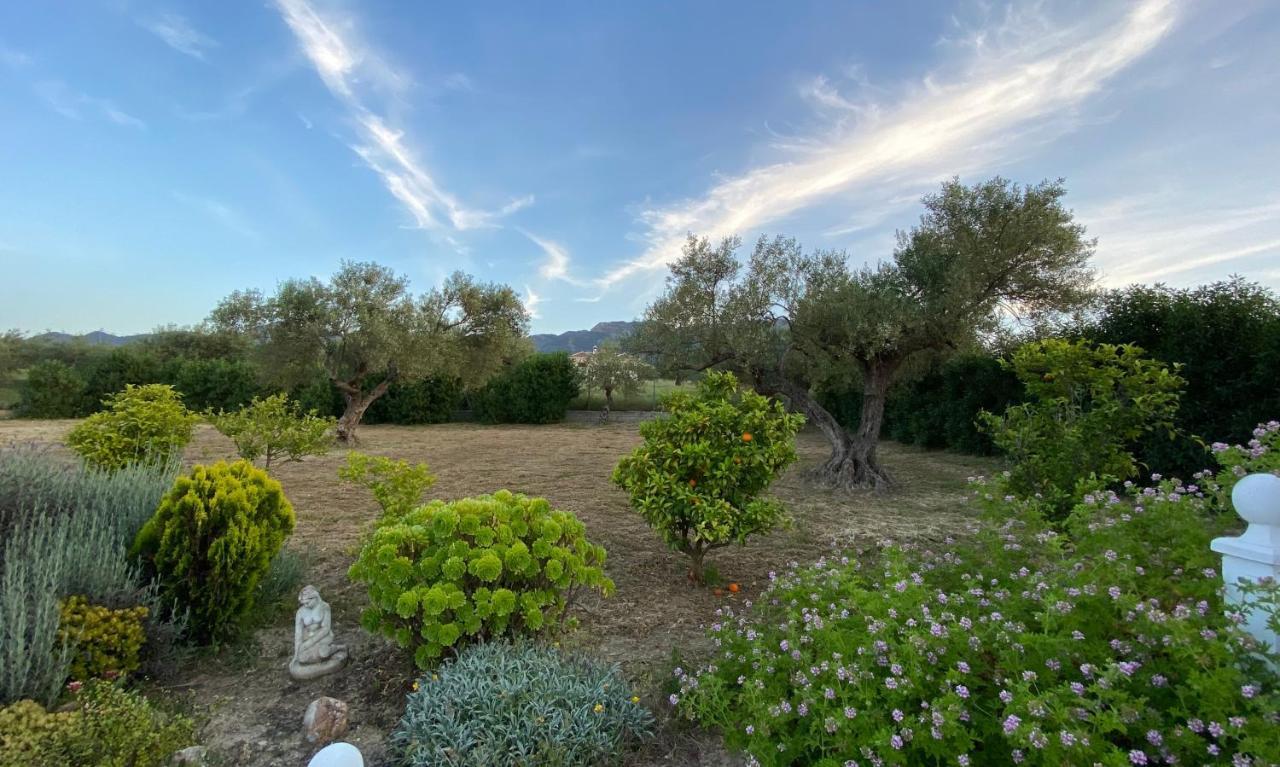 Finca Casa Mici Alhaurin el Grande Ngoại thất bức ảnh