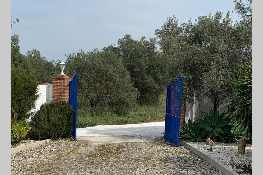 Finca Casa Mici Alhaurin el Grande Ngoại thất bức ảnh