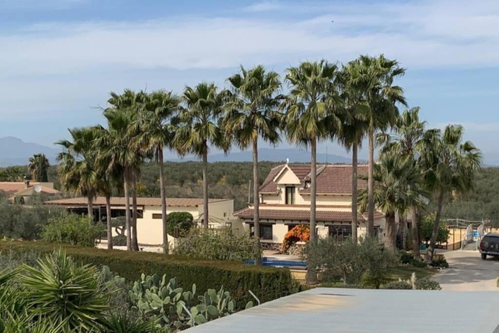 Finca Casa Mici Alhaurin el Grande Ngoại thất bức ảnh